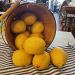 Peddler's Loft lemons